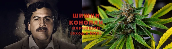 прущие крисы Армянск