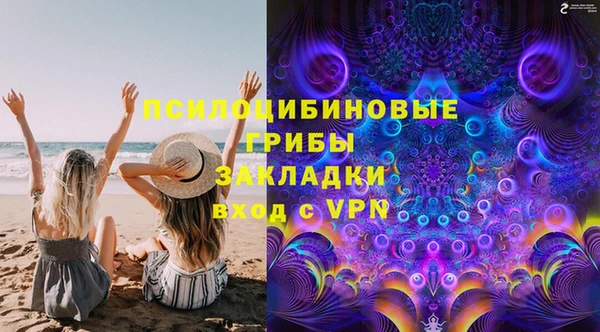 a pvp Аркадак