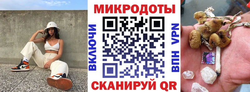 Галлюциногенные грибы Psilocybine cubensis  Белово 