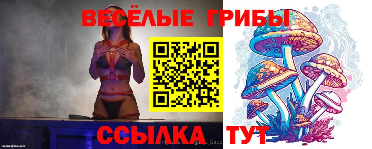 Белово  Галлюциногенные грибы мухоморы  Вход с VPN  Галлюциногенные грибы прущие грибы 